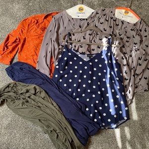 Torrid Lot